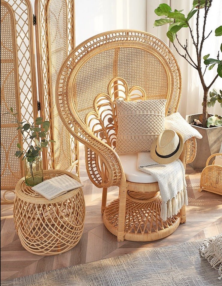 Rattan fauteuil 2025